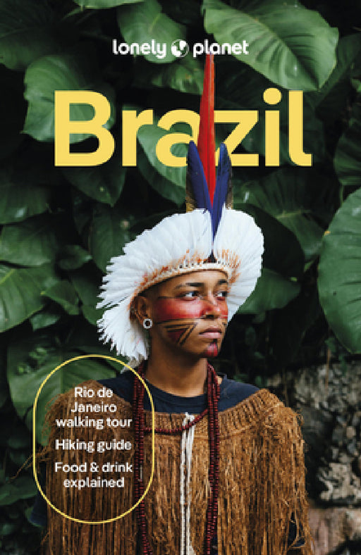 Lonely Planet Brazil by Trent Holden, Ann Babe, Joel Balsam