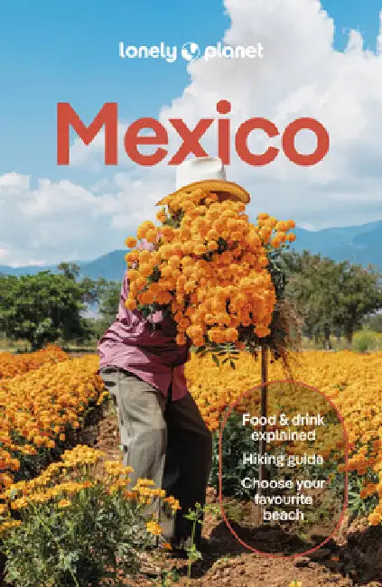Lonely Planet Mexico by Lonely Planet