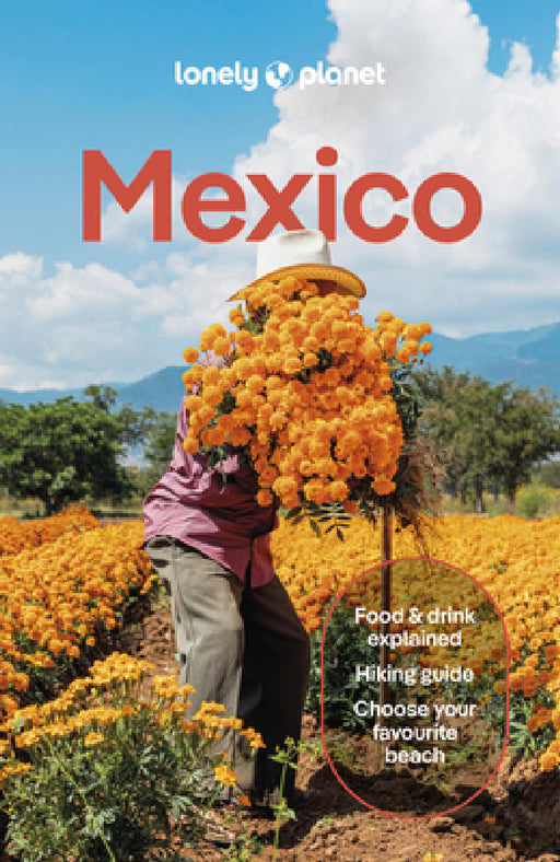 Lonely Planet Mexico by Lonely Planet, Joel Balsam, Jennifer Fernández Solano