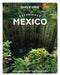 Lonely Planet Experience Mexico by Nellie Huang