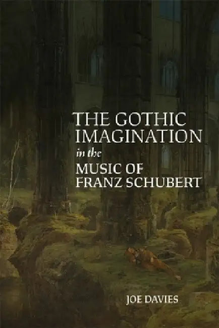 The Gothic Imagination in the Music of Franz Schubert by Joe Davies
