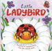 Little Ladybird by Autumn Publishing