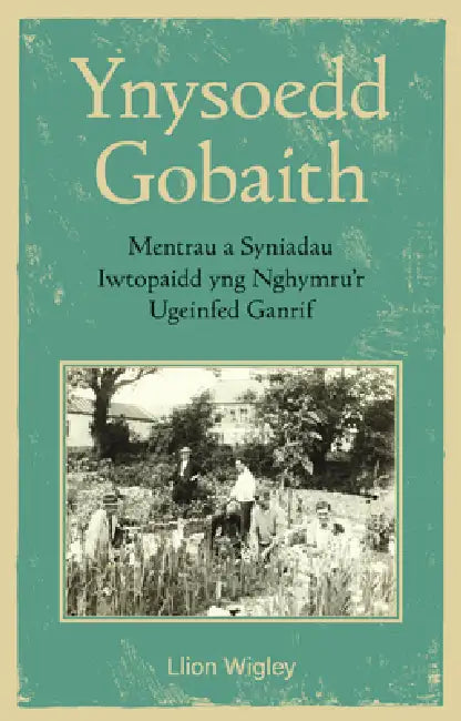 Ynysoedd Gobaith: Mentrau a Syniadau Iwtopaidd yng Nghymru’r Ugeinfed Ganrif by Llion Wigley