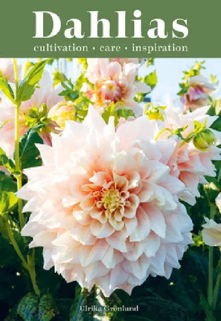 Dahlias: Inspiration, Cultivation and Care for 222 Varieties by Grönlund Ulrika