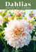 Dahlias: Inspiration, Cultivation and Care for 222 Varieties by Grönlund Ulrika