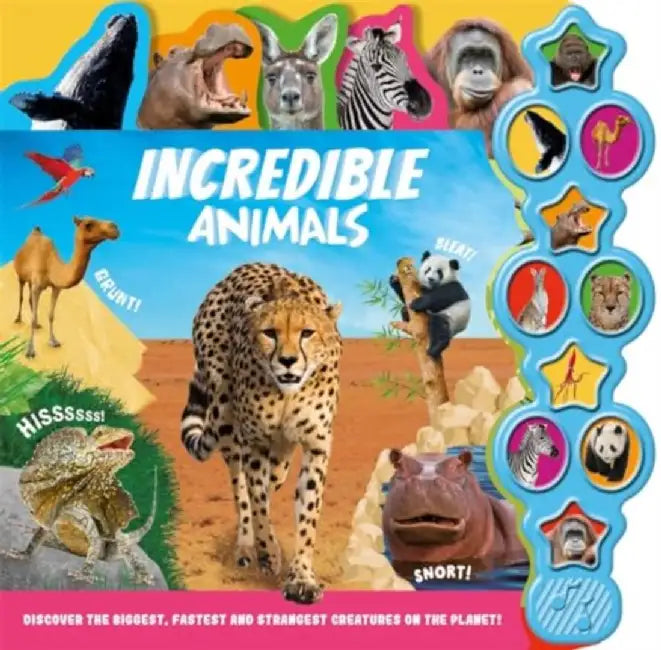 Incredible Animals by Igloo Books Ltd