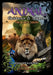 Animal Guidance & Aspects Oracle Cards by Ejay (Ejay Soulguide) Soulguide