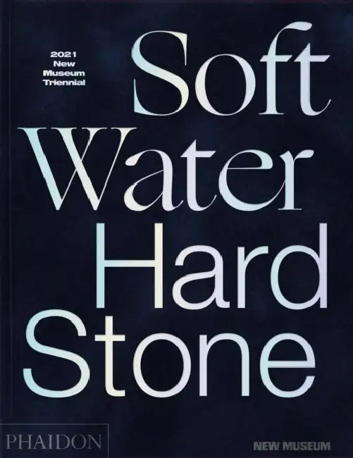 Soft Water Hard Stone: 2021 New Museum Triennial by Margot Norton, Jamillah James