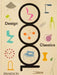 1000 Design Classics by Phaidon Editors