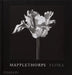 Mapplethorpe Flora: The Complete Flowers by Robert Mapplethorpe