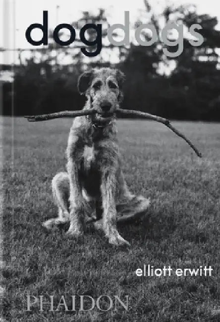 Dogdogs by Elliott Erwitt