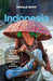 Indonesia 14 by Lonely Planet