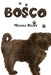Bosco by Michele Killey