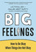 Big Feelings by Liz Fosslien