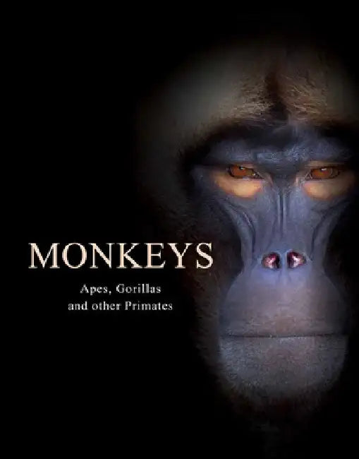 Monkeys: Apes, Gorillas and Other Primates by Tom Jackson
