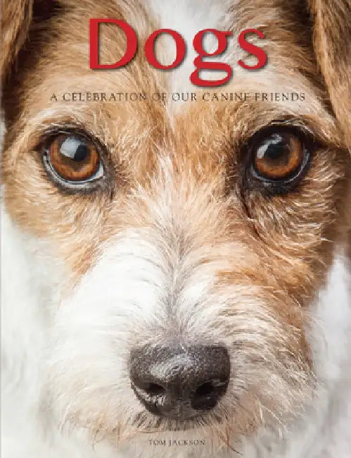 Dogs: A Celebration of Our Canine Friends by Tom Jackson