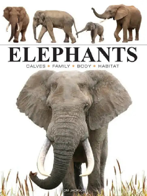 Elephants by Tom Jackson