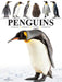 Penguins by Tom Jackson