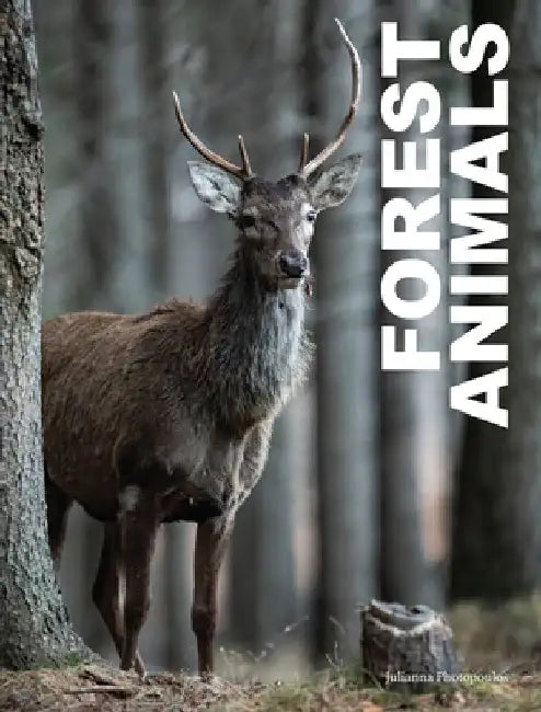 Forest Animals by Julianna Photopoulos