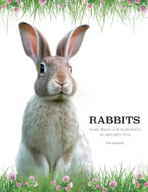 Rabbits by Tom Jackson