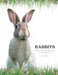 Rabbits by Tom Jackson