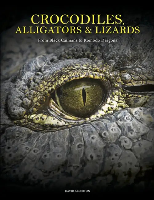 Crocodiles, Alligators & Lizards: From Black Caimans to Komodo Dragons by David Alderton