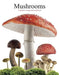 Mushrooms by Liz O'Keefe