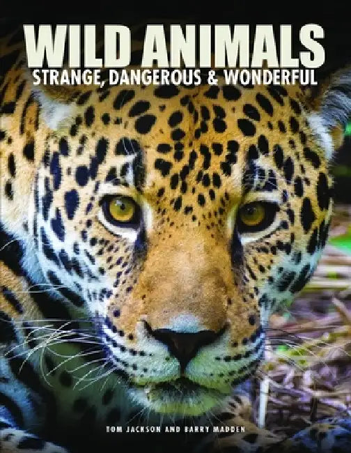 Wild Animals by Tom Jackson