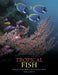 Tropical Fish by David Alderton