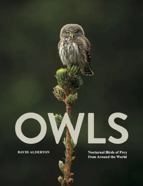 Owls: Nocturnal Birds of Prey from Around the World by David Alderton