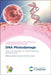 DNA Photodamage: From Light Absorption to Cellular Responses and Skin Cancer by Roberto Improta, Thierry Douki