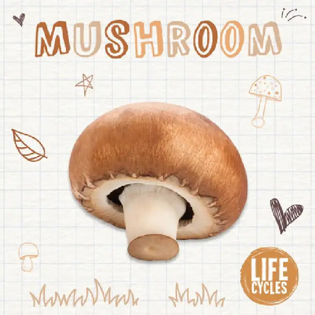 Mushroom by Brenda McHale