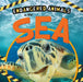 In the Sea by Emilie Dufresne