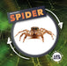 Spider by Kirsty Holmes