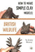 How to Make Simple Clay Models: British Wildlife by Jenny Barton