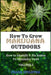 How to Grow Marijuana Outdoors: How to Identify & Fix Issues To Maximise Yield by Frank Spilotro