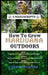 How to Grow Marijuana Outdoors: Guerrilla Growing Techniques & Strategies, How to Identify & Fix Issues To Maximise Yield, Step-By-Step Guide for Succ by Frank Spilotro