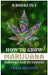 How to Grow Marijuana Indoors and Outdoors: 6 Books in 1 by Frank Spilotro