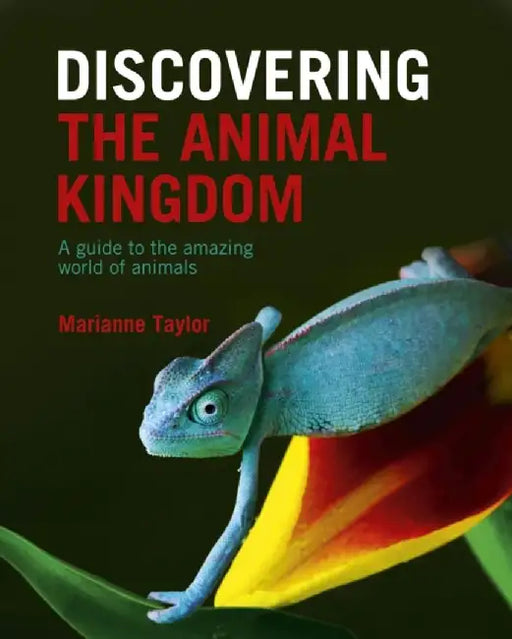 Discovering The Animal Kingdom by Marianne Taylor