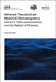 Advanced Theoretical and Numerical Electromagnetics: Field Representations and the Method of Moments by Vito Lancellotti
