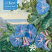 Adult Jigsaw Puzzle Kew: Marianne North: Amatungula in Flower and Fruit and Blue Ipomoea, South Africa: 1000-Piece Jigsaw Puzzles by Flame Tree Studio