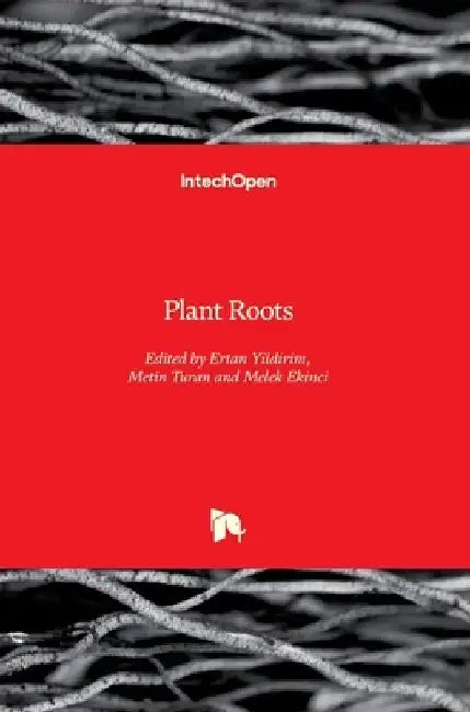 Plant Roots by Metin Turan