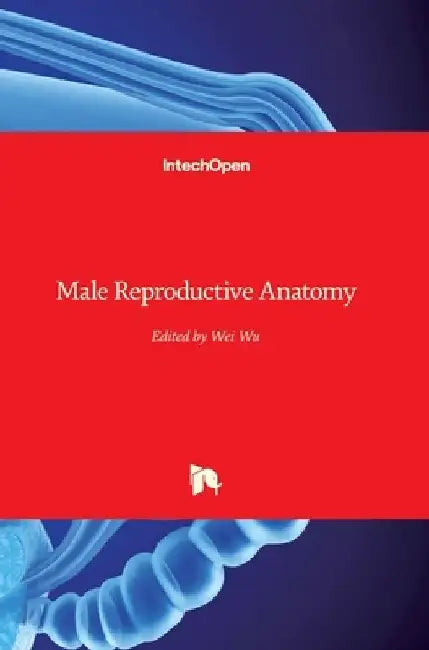 Male Reproductive Anatomy by Wei Wu