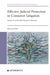 Effective Judicial Protection in Consumer Litigation: Article 47 of the Eu Charter in Practice by Anna Van Duin