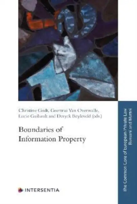 Boundaries of Information Property: Volume 4 by Deryck Beyleveld, Christine Godt, Lucie Guibault