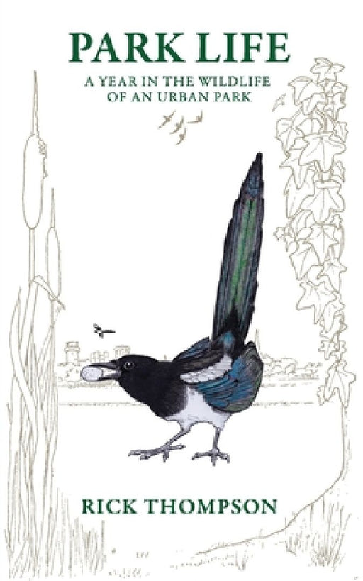Park Life: A Year in the Wildlife of an Urban Park  by Rick Thompson
