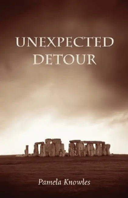 Unexpected Detour by Pamela Knowles