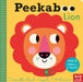 Peekaboo Lion by Camilla (Editorial Director) Reid