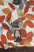 Anne of Green Gables & Anne of Avonlea by Lucy Maud Montgomery