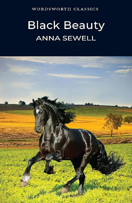 Black Beauty by Anna Sewell